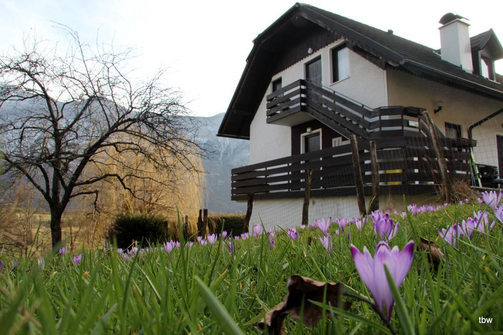 Apartments Tatjana Bovec Extérieur photo