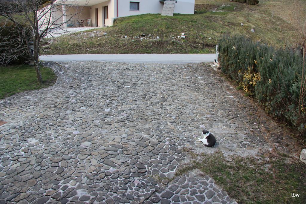 Apartments Tatjana Bovec Extérieur photo