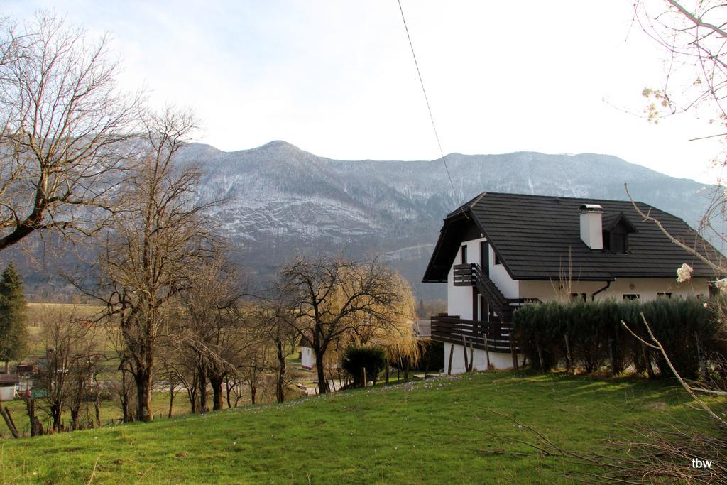 Apartments Tatjana Bovec Extérieur photo